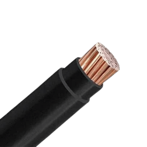 Untitled design (21) سیم افشان 150*1 خراسان افشارنژاد