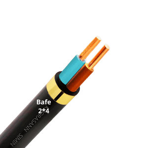 کابل مفتول تخت (NYY) 2*4 بافه سیم گلستان کابل مفتول تخت (NYY) 2*4 بافه سیم گلستان